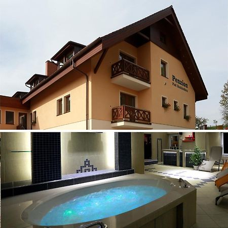 Wellness Penzion Pod Rozhlednou Kostelec nad Orlicí Extérieur photo
