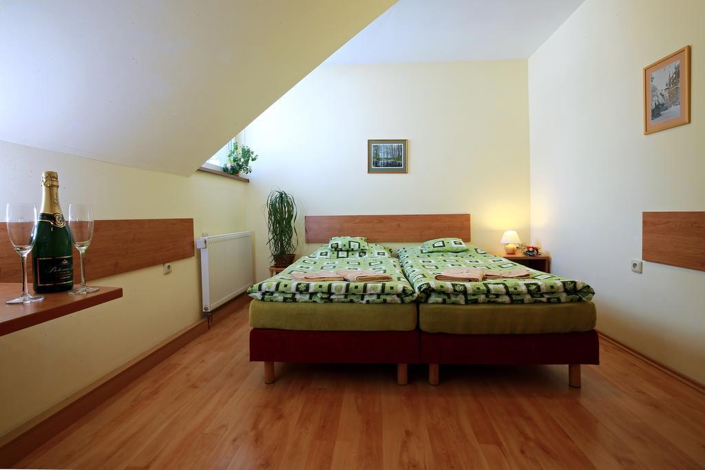 Wellness Penzion Pod Rozhlednou Kostelec nad Orlicí Chambre photo