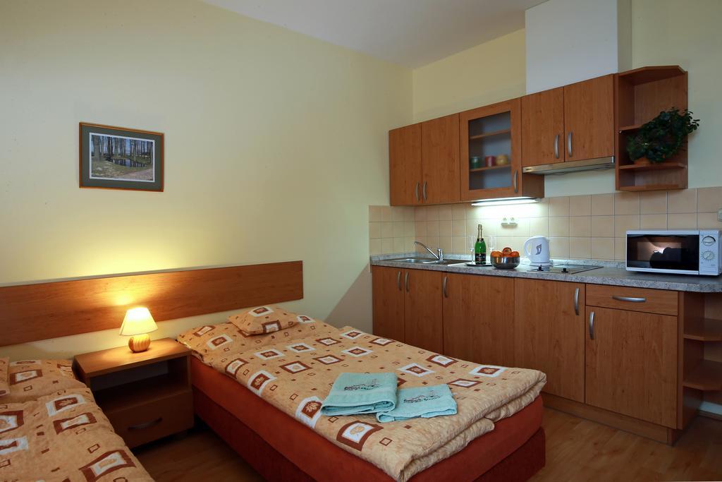 Wellness Penzion Pod Rozhlednou Kostelec nad Orlicí Chambre photo
