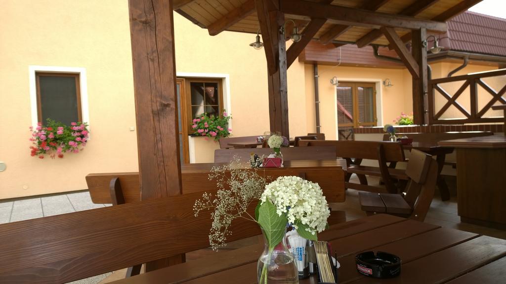 Wellness Penzion Pod Rozhlednou Kostelec nad Orlicí Extérieur photo