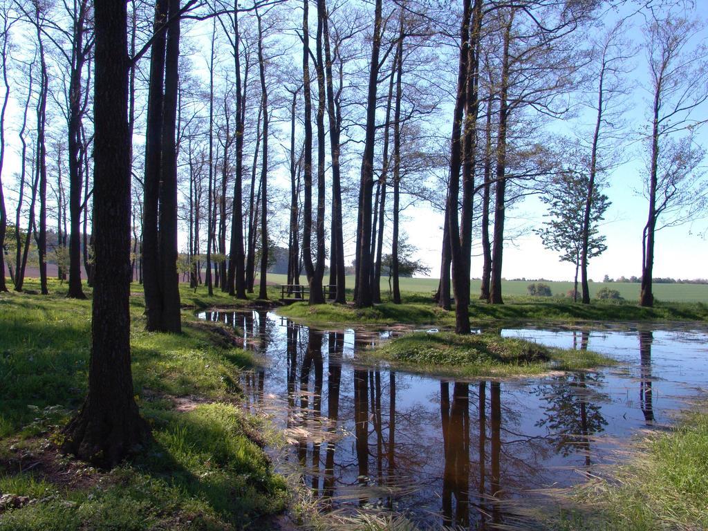 Wellness Penzion Pod Rozhlednou Kostelec nad Orlicí Extérieur photo